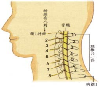 骨伤疾病康复护理知识，你了解多少？